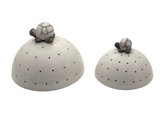 Demi sphère tortue