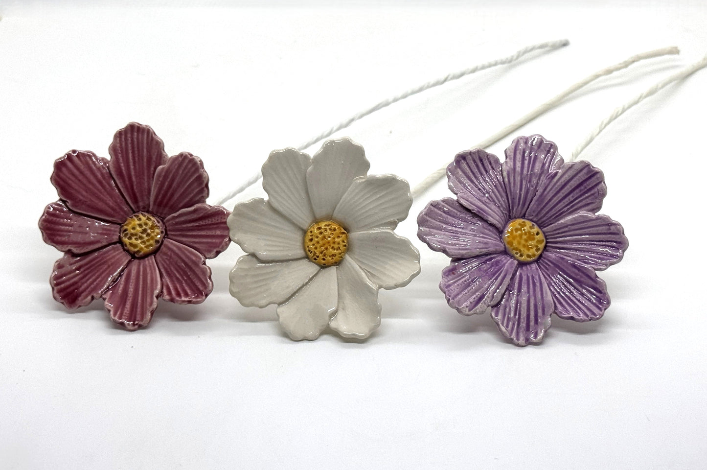 cosmos